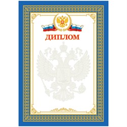 Диплом А4, мелованный картон - фото 12046