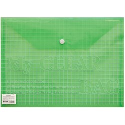 Папка-конверт на кнопке А4, "My Clear Bag", 140мкм - фото 14365