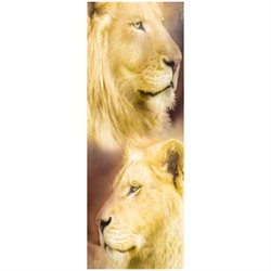 Закладка для книг 3D 152*52 мм "Лев и львица", декоративный шнурок - фото 7022